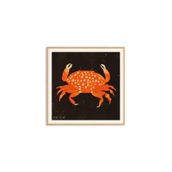 Affiche Enikő Eged - Spotted Crab - 50 x 50 cm