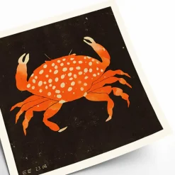 Affiche Enikő Eged - Spotted Crab - 50 x 50 cm