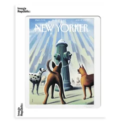 Affiche The Newyorker 200 drooker dog’s eye view 27 juin 2005 - 40 x 50 cm