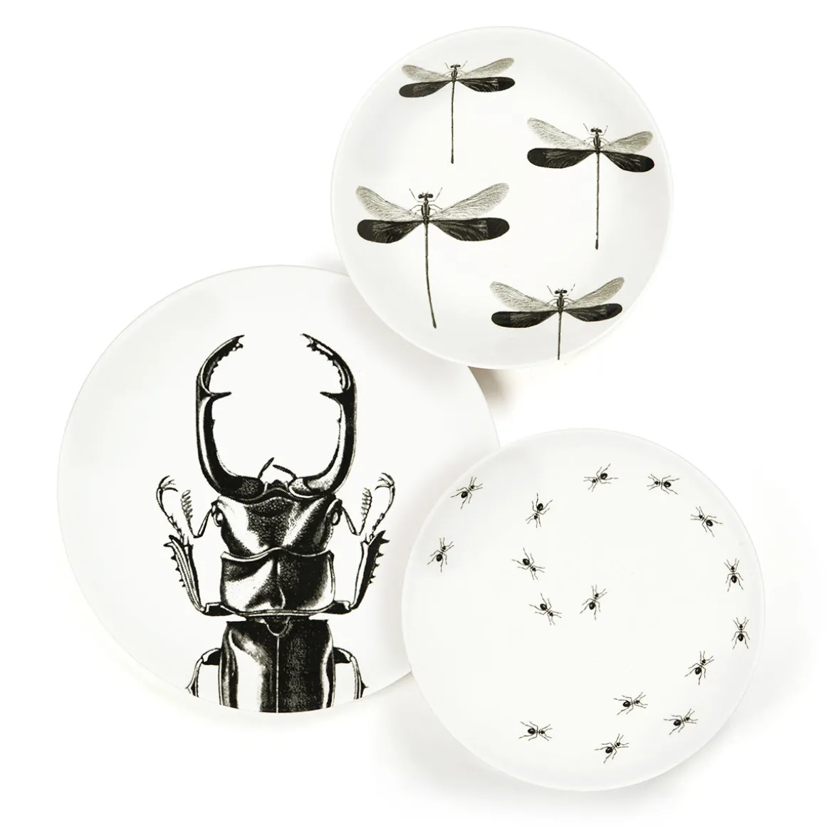 Assiette à dessert - Fourmis