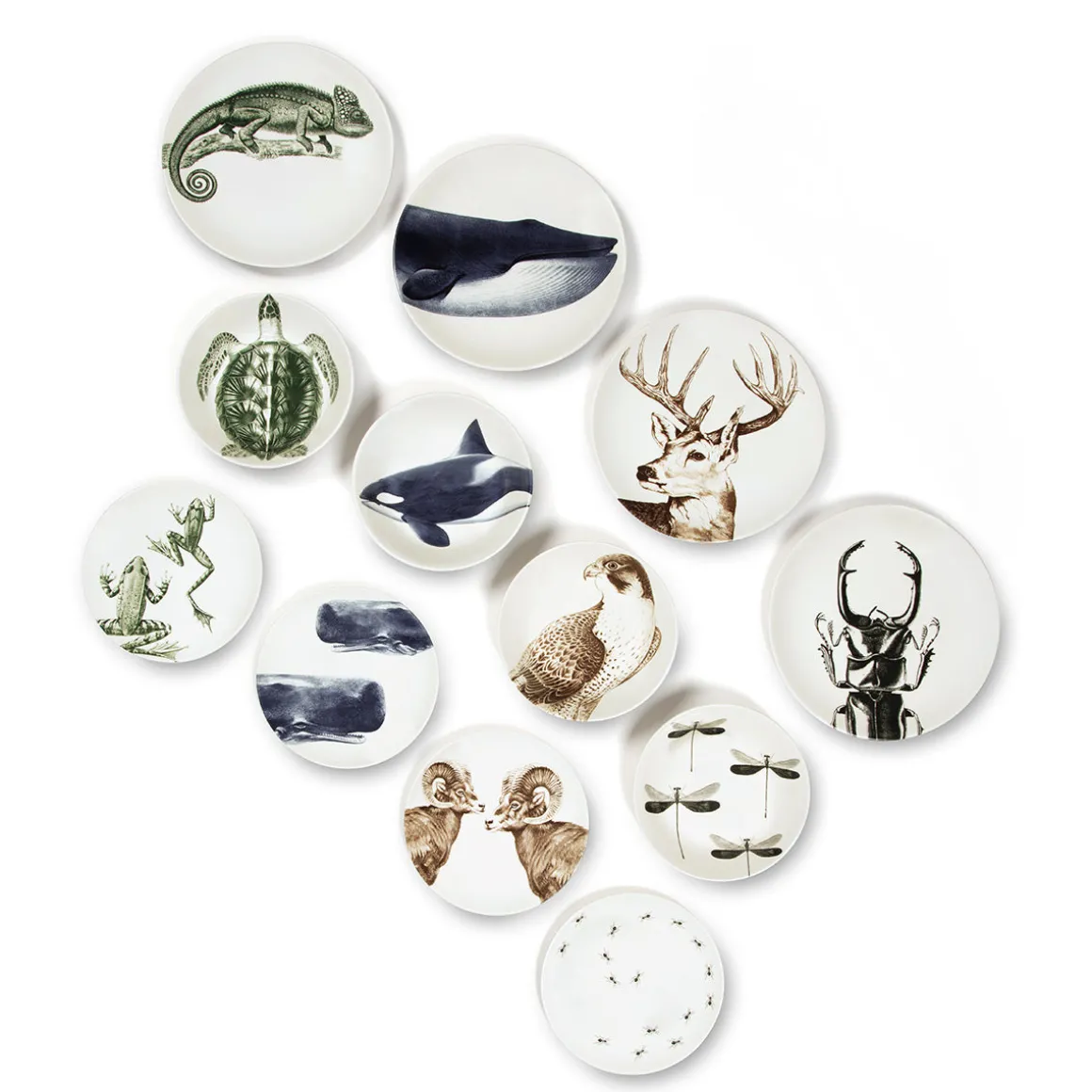 Assiette à dessert - Fourmis