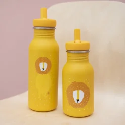 Bouteille Mr Lion - 500 ml