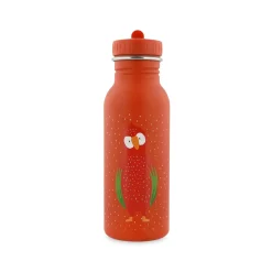 Bouteille Mr Parrot en acier inoxydable 500 ml