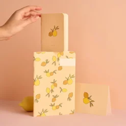 Carnet Citronnade