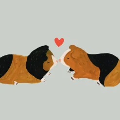 Carte de voeux Cochons d'Inde