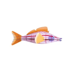 Décoration Murale Poisson Longnose Hawkfish