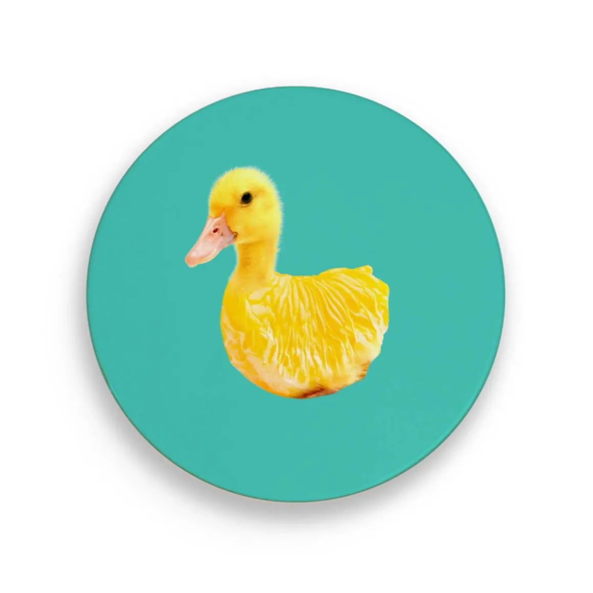 Dessous de plat - Canard