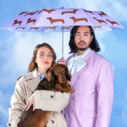 Parapluie à manche Tête de Canard - Teckel - Coucou Suzette