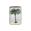 Plateau Solo - Palmier