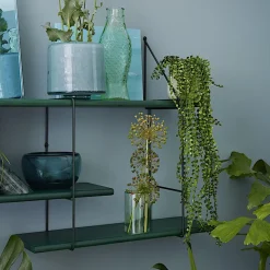 Étagère Shrink - Vert Forêt