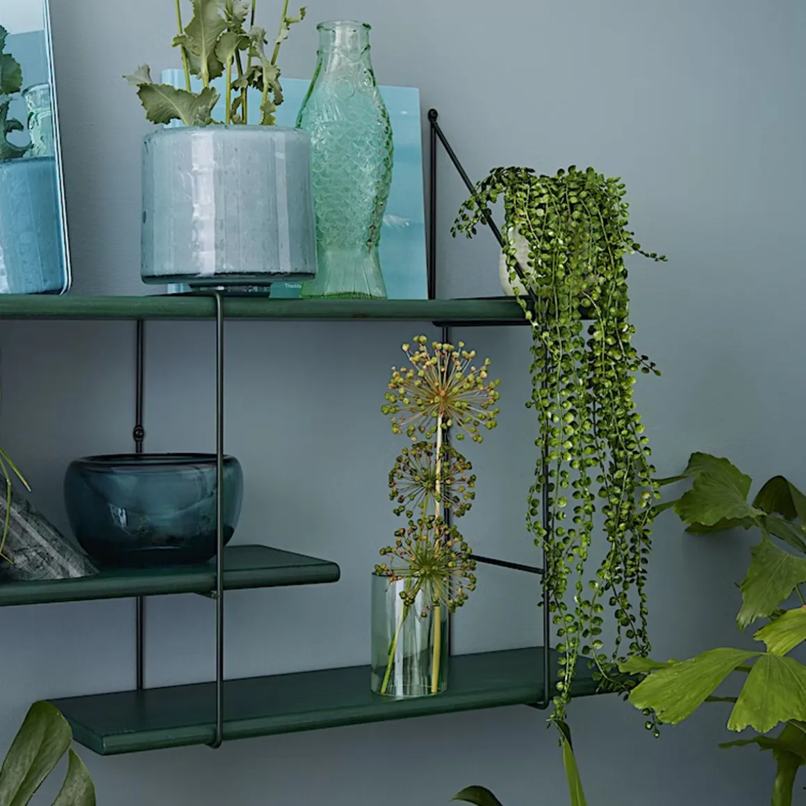 Étagère Shrink - Vert Forêt