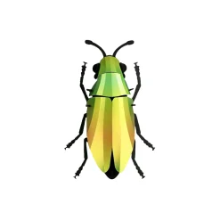 Trophée Origami Coléoptère Mango Vert