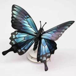 Trophée Origami Papilio Ulysses