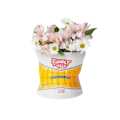 Vase Chips